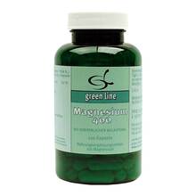 Magnesium 400 Kapseln 120 St