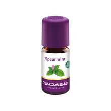 Spearmint &Ouml;l Bio 30 ml