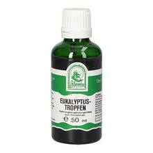 Eukalyptus Tropfen zum Einnehmen 50 ml