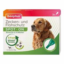 Abbildung: Zecken- und Flohschutz SPOT-ON für große Hunde 6 ml, Tropfen PZN 17849343 
