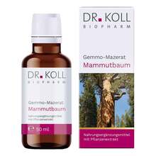Abbildung: Gemmo Mazerat Mammutbaum Dr. Koll Sequoia gigantea 50 ml, Tropfen PZN 18468011 