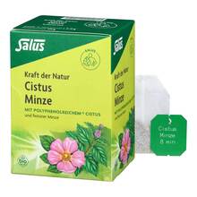 Abbildung: Cistus Minze Kräutertee bio Salus Filterbeutel 15 St, Filterbeutel PZN 19400630 