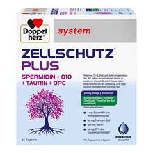  PZN 20087747 90 St, Kapseln