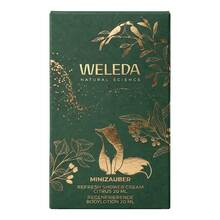 Abbildung: Weleda Geschenkset mini Sanddorn & Citrus 2026 1 St PZN 20351173 