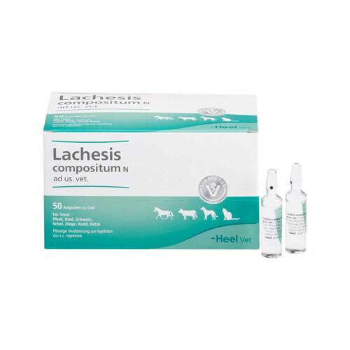 Lachesis Compositum N Ampullen vet. (f&uuml;r Tiere) - 1