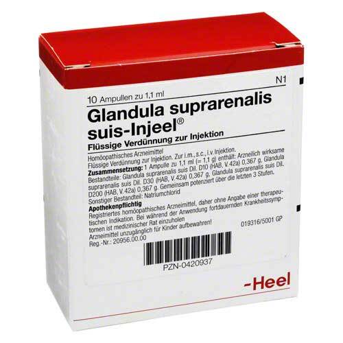 Glandula Suprarenalis suis Injeel Ampullen - 1