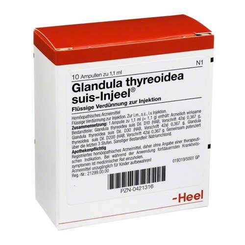 Glandula Thyreoidea suis Injeel Ampullen - 1