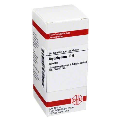 DHU Bryophyllum D 6 Tabletten - 1