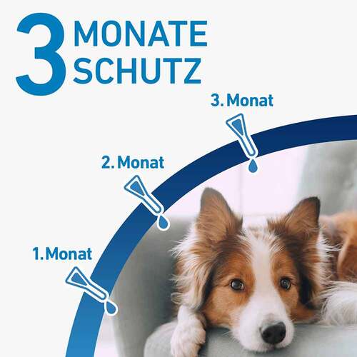 FRONTLINE® SPOT ON Hund S L&ouml;sung - 4