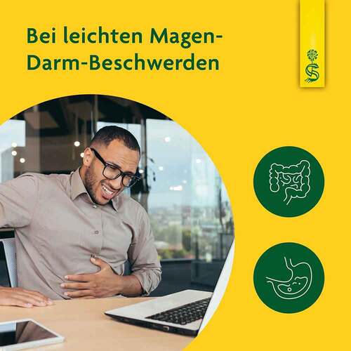 L&ouml;wenzahn Saft Schoenenberger HPS - 3