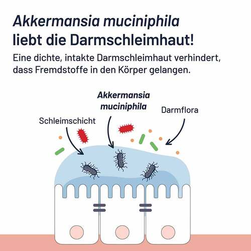 Probio-Cult AKK1 Akkermansia Syxyl Tabletten - 5