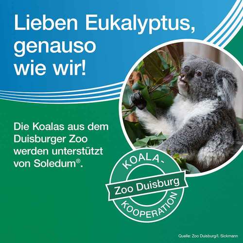 Soledum Kapseln forte - 7