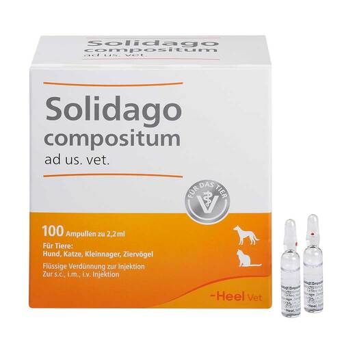 Solidago compositum ad us. vet. Ampullen - 1