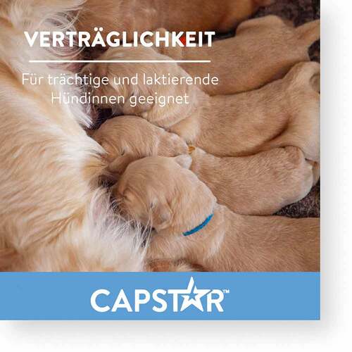 CAPSTAR™ 11,4 mg Tabletten f&uuml;r Katzen und kleine Hunde - 3