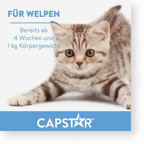 CAPSTAR™ 11,4 mg Tabletten f&uuml;r Katzen und kleine Hunde - 4