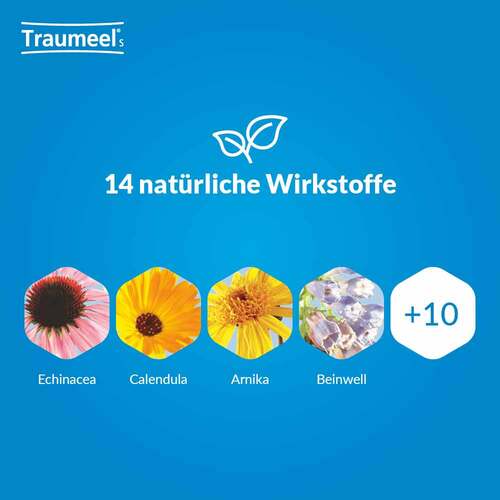 Traumeel® S Creme - 4