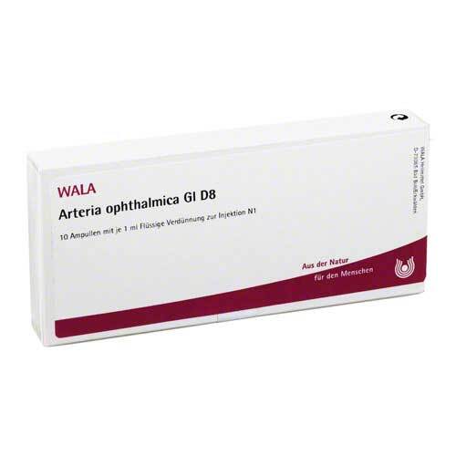 Arteria Ophthalmica GI D 8 Ampullen - 1