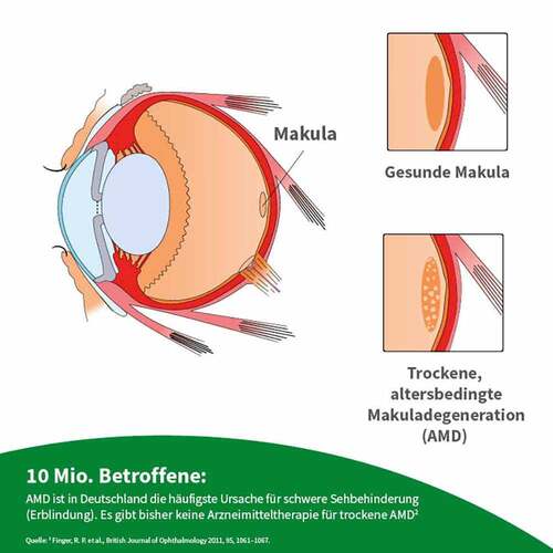 Beh Makula Kapseln - 6