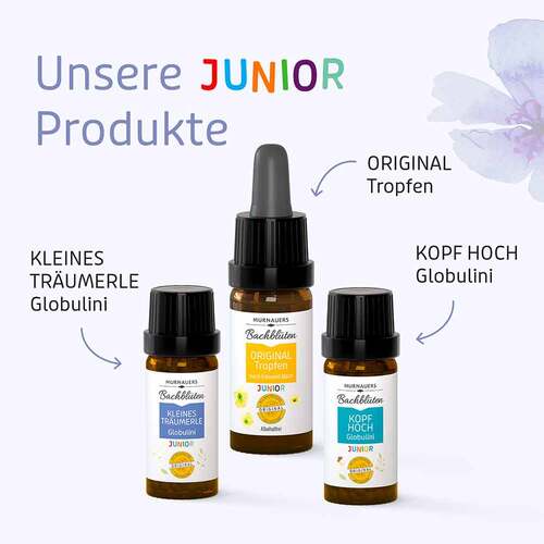Bachbl&uuml;ten Kinder Kl.Tr&auml;umerle Globuli n.Dr. Bach - 4