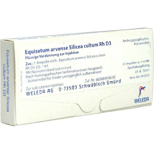 Equisetum arvense silicea cultum Rh D 3 Ampullen - 1