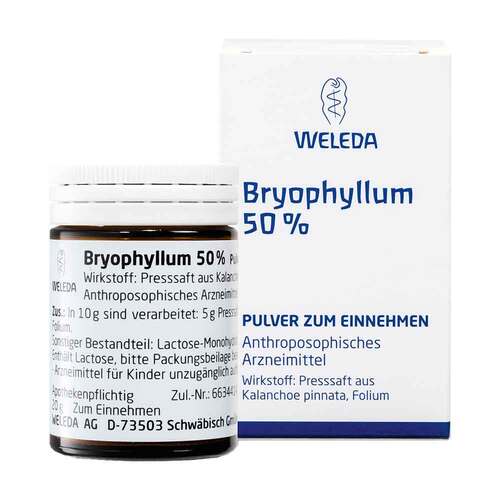 Bryophyllum 50% Pulver zum Einnehmen - 1