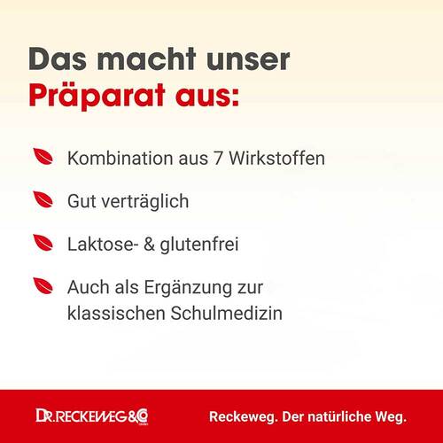 Angina-Gastreu S R1 Tropfen zum Einnehmen - 2