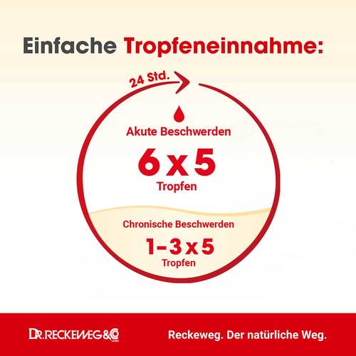 Entero-Gastreu S R4 Tropfen zum Einnehmen - 3