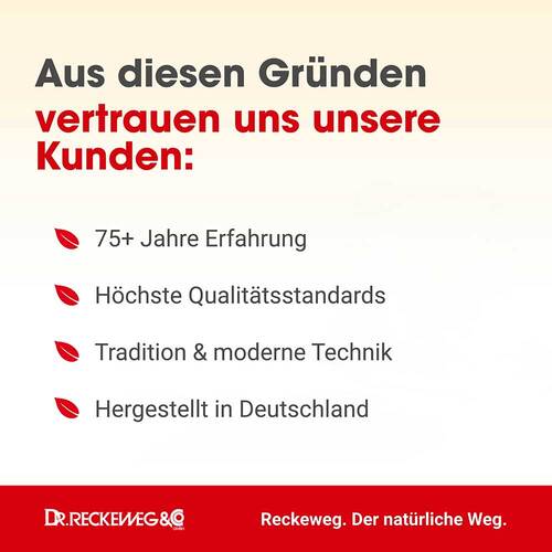 Dysmenorrhoe Gastreu S R 75 Tropfen zum Einnehmen - 4