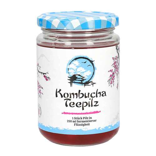 Kombucha Teepilz - 1