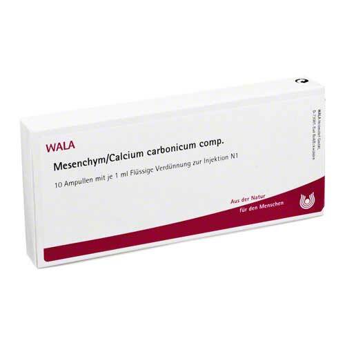 Mesenchym / Calcium carbonicum comp. Ampullen - 1