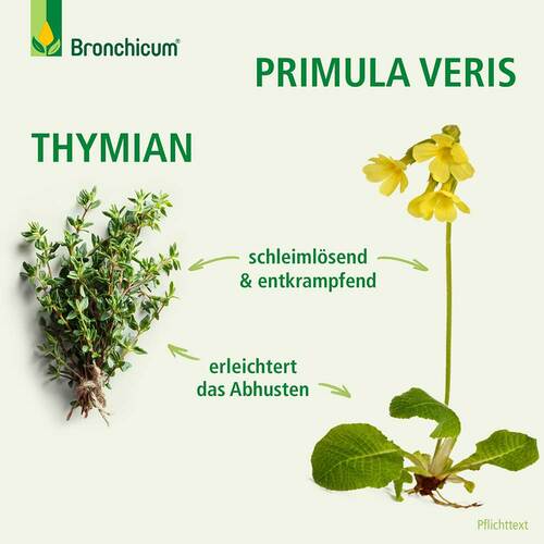 Bronchicum® Tropfen - 7