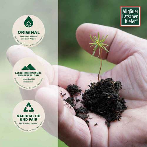 Allg&auml;uer Latschenkiefer Franzbranntwein - 4