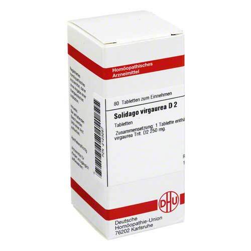 DHU Solidago virgaurea D 2 Tabletten - 1