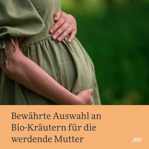 Salus Schwangerschaftstee Bio Filterbeutel - 3