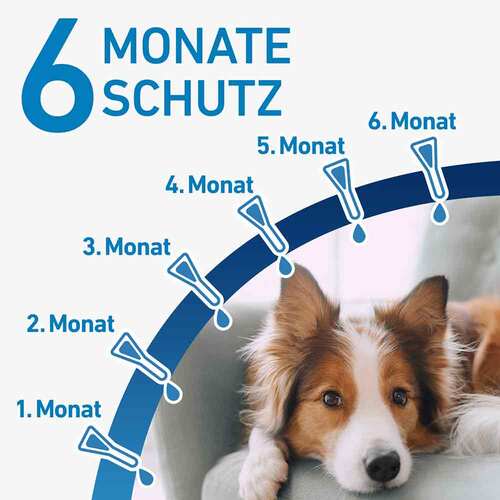 FRONTLINE® SPOT ON Hund M L&ouml;sung - 4