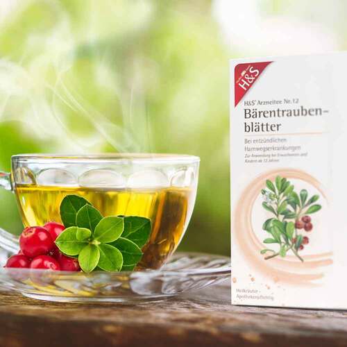 H&S B&auml;rentraubentee Filterbeutel - 3