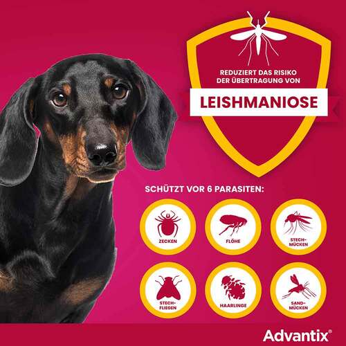Advantix Spot-on Hund bis 4 kg L&ouml;sung - 5