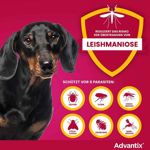 Advantix Spot-on Hund 4 - 10 kg L&ouml;sung - 5