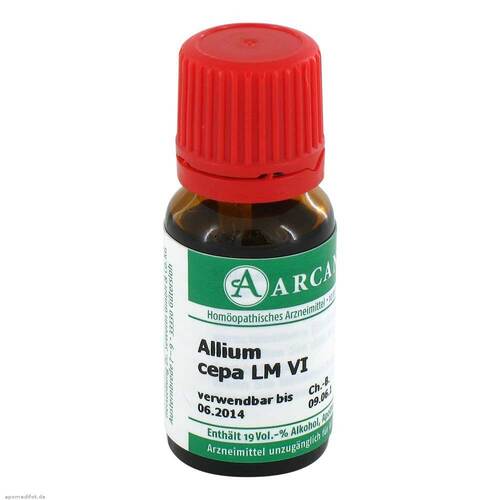 Allium cepa Arcana LM 6 Dilution - 1