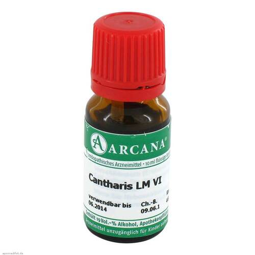 Cantharis Arcana LM 6 Dilution - 1