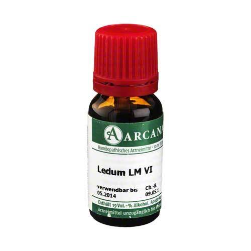 Ledum Arcana LM 6 Dilution - 1