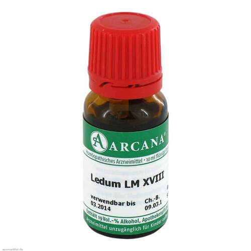 Ledum Arcana LM 18 Dilution - 1