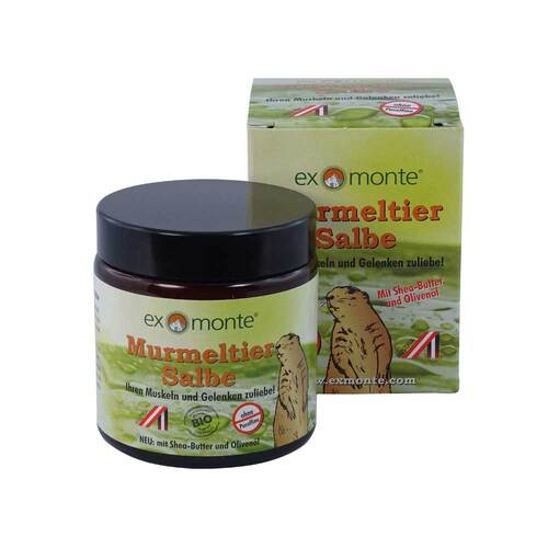 Murmeltiersalbe ohne Paraffi - 1