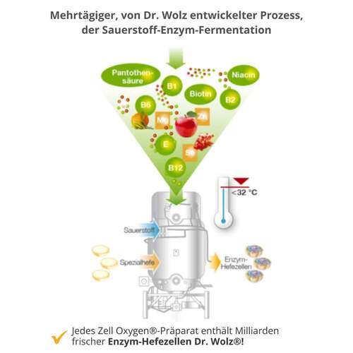 Zell Oxygen Zym Anti Aging 14 Tage Kombipackung - 4