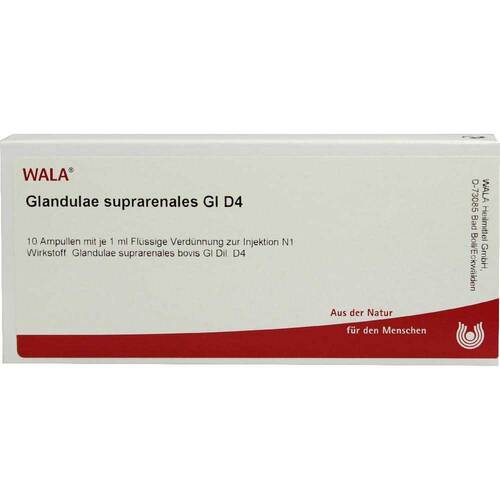 Glandulae suprarenalis GL D 4 Ampullen - 1