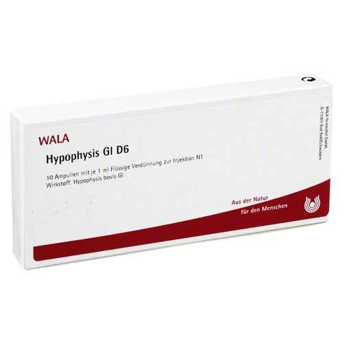 Hypophysis GL D 6 Ampullen - 1