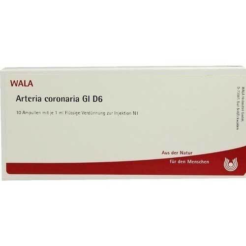 Arteria Coronaria GL D 6 Ampullen - 1