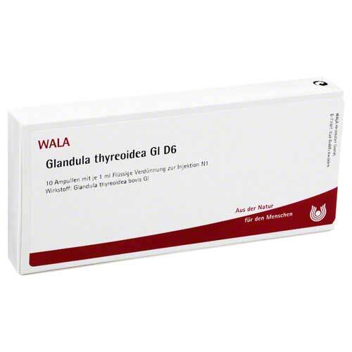 Glandula Thyreoidea GL D 6 Ampullen - 1