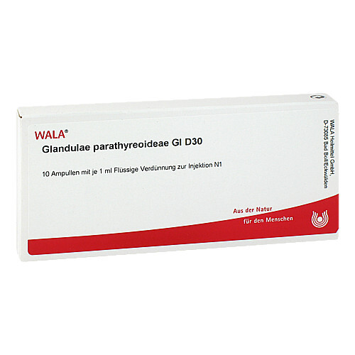 Glandulae parathyreoidea GL D 30 Ampullen - 1