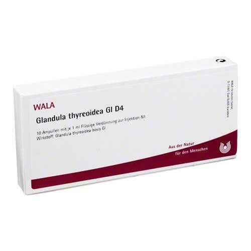 Glandula Thyreoidea GL D 4 Ampullen - 1
